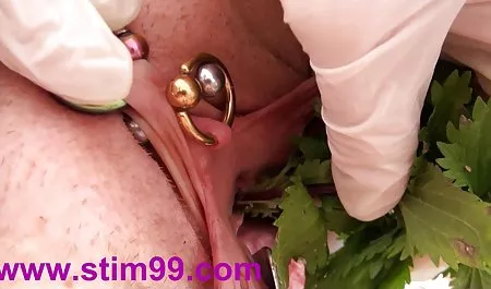 بانگ عاشقانه لی شکسته گربه کانال تلگرام کلیپ های سکسی